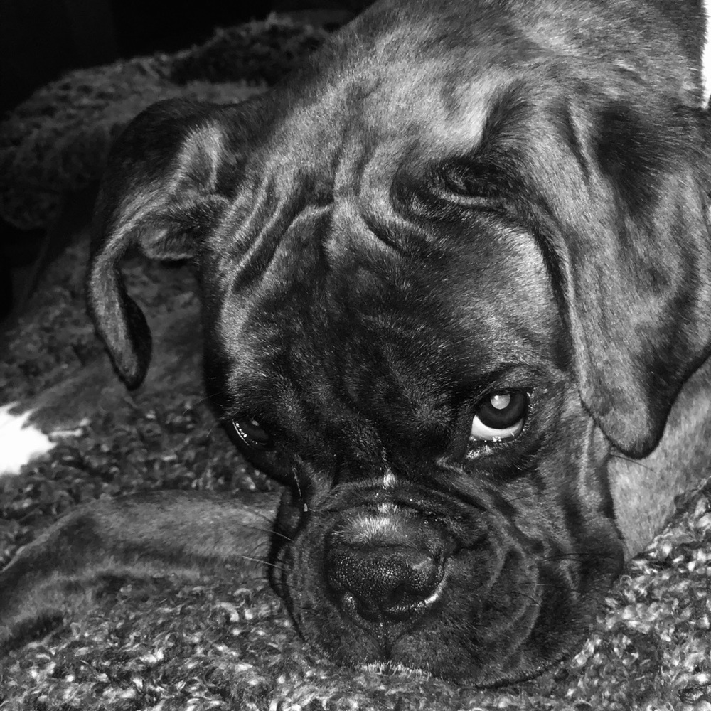 Meet your Posher, Mhaya